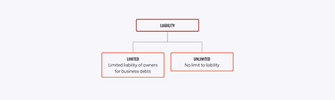 Limited vs unlimited liability