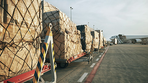 Plane cargo containers