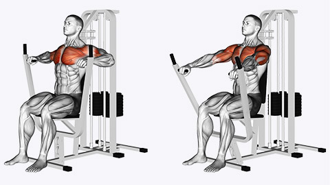 chest press using machine