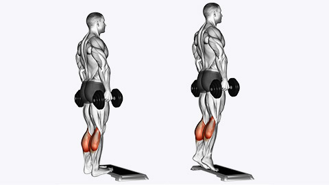 calf raises