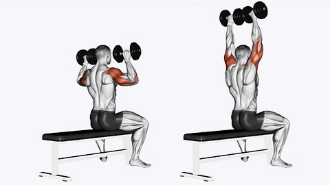 shoulder press