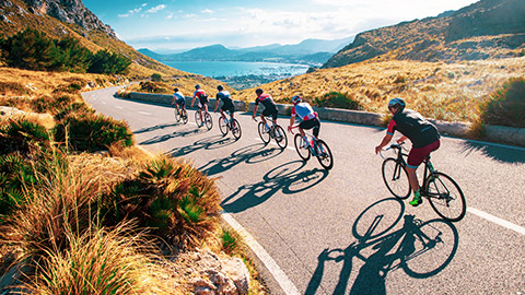 cyclists on country road