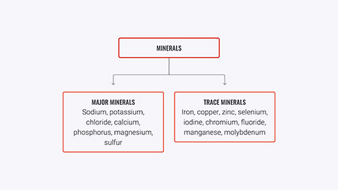 Flow chart of mineral types