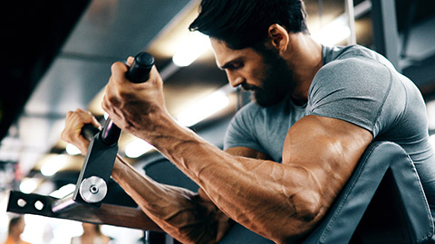 Male in gym doing preacher curl exercise