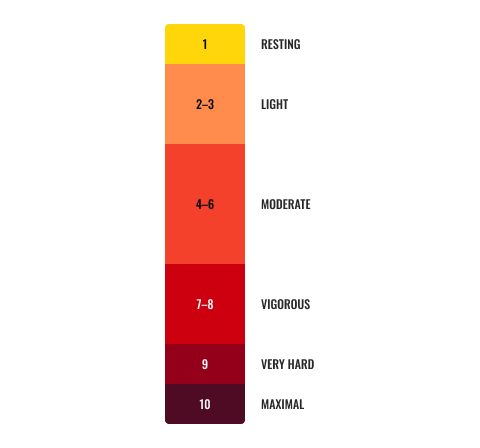 Diagram depicting the Borg scale