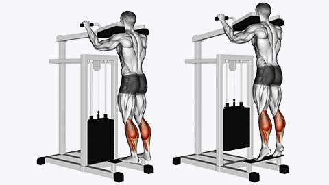 calf raise