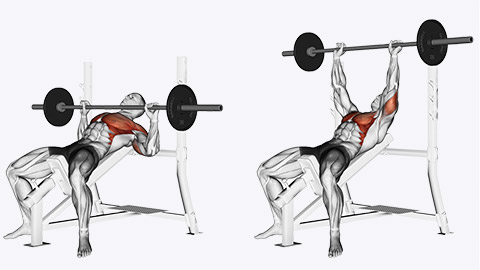 incline bench press