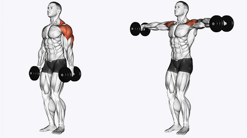 lateral raise