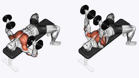 dumbell flat bench press