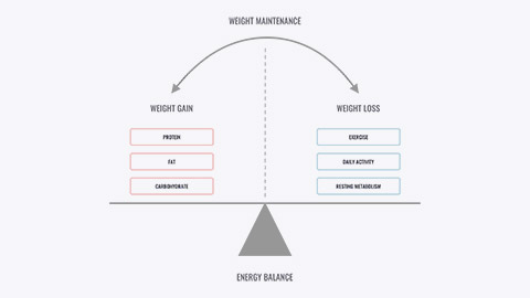 Chart showing weight management balance