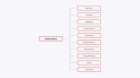Training principles diagram