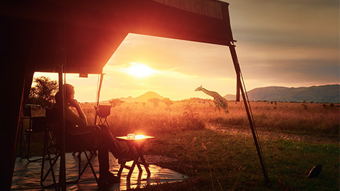 bush camp at sunset