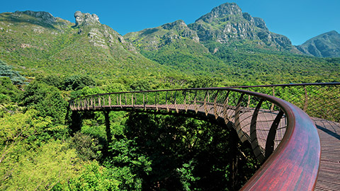 Kirstenbosch National Botanical Gardens