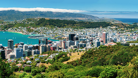 overview of wellington on a rare sunny day