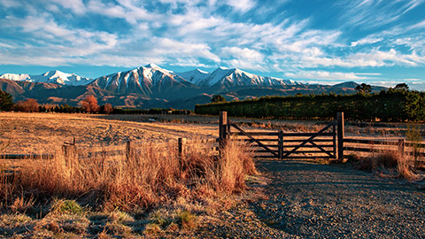 rural canterbury region at sunset