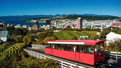 overview of wellington on a rare sunny day