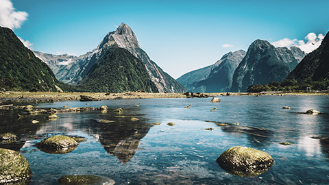 fiordland national park area