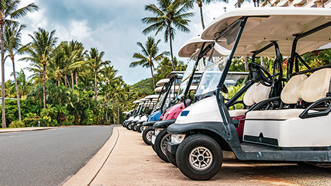 golf carts lined up