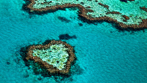 aerial view of heart reef