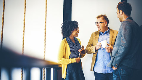 3 business people networking in a modern office environment