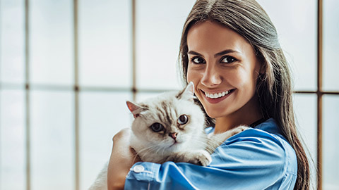 A senior veterinarian holding a cat