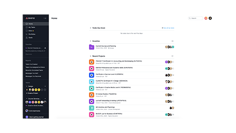 Asana homepage