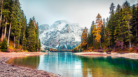 Landscape featuring river, trees and mountains