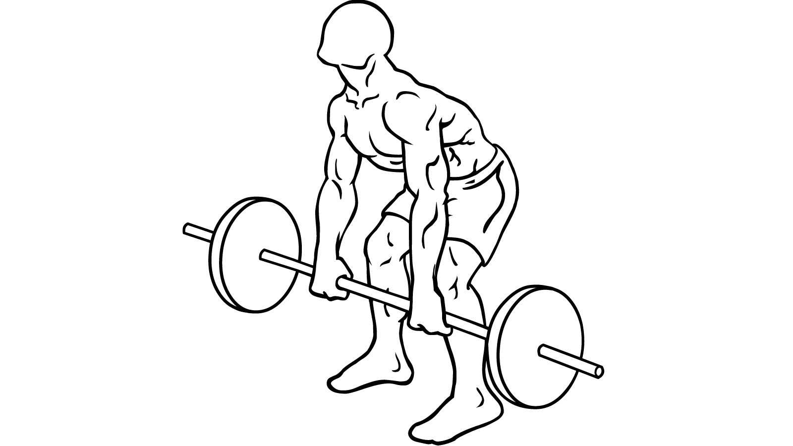 Diagram of a person using a barbell