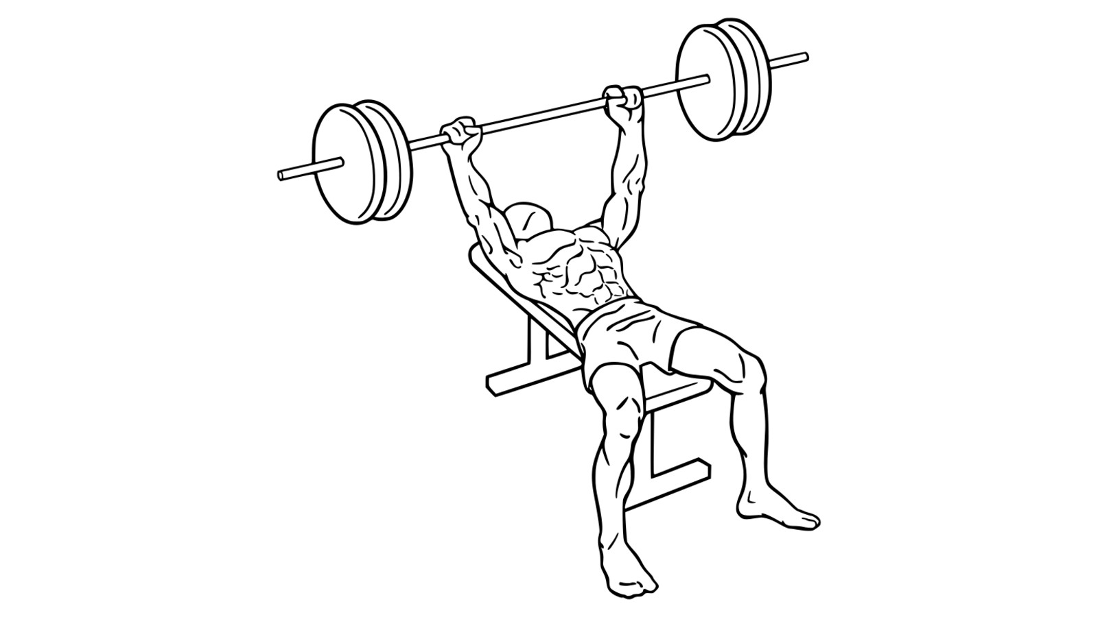 Diagram of a person using a bench press