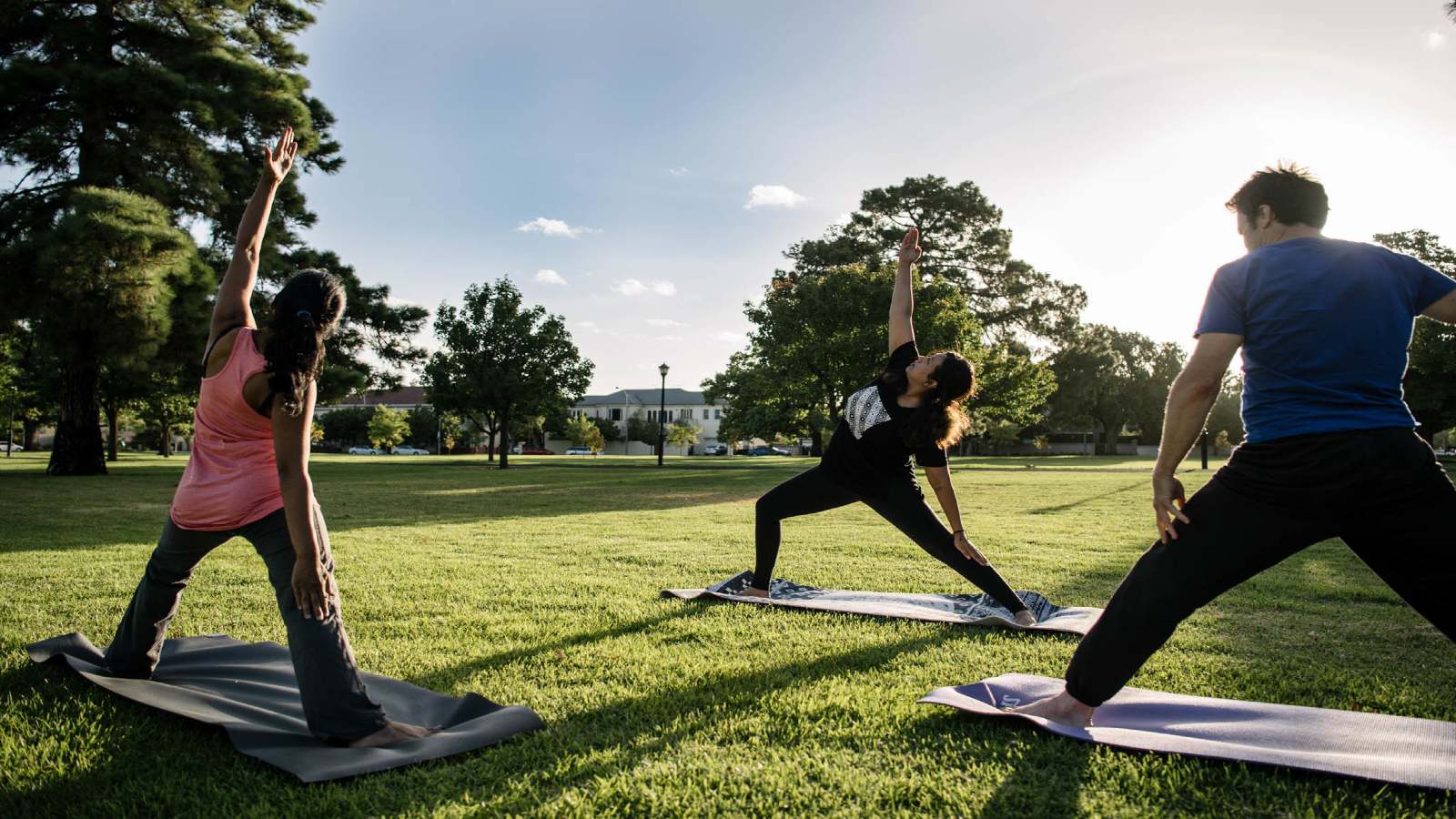 group participating in yoga in the park