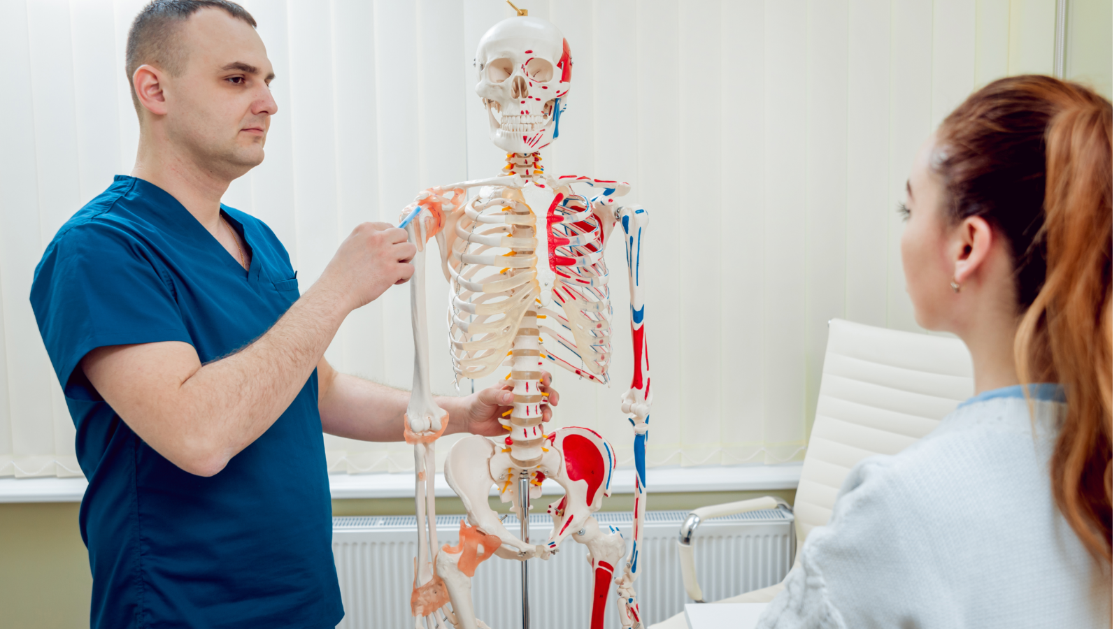 Orthopedist using a model skeleton to discuss bone structure with a patient