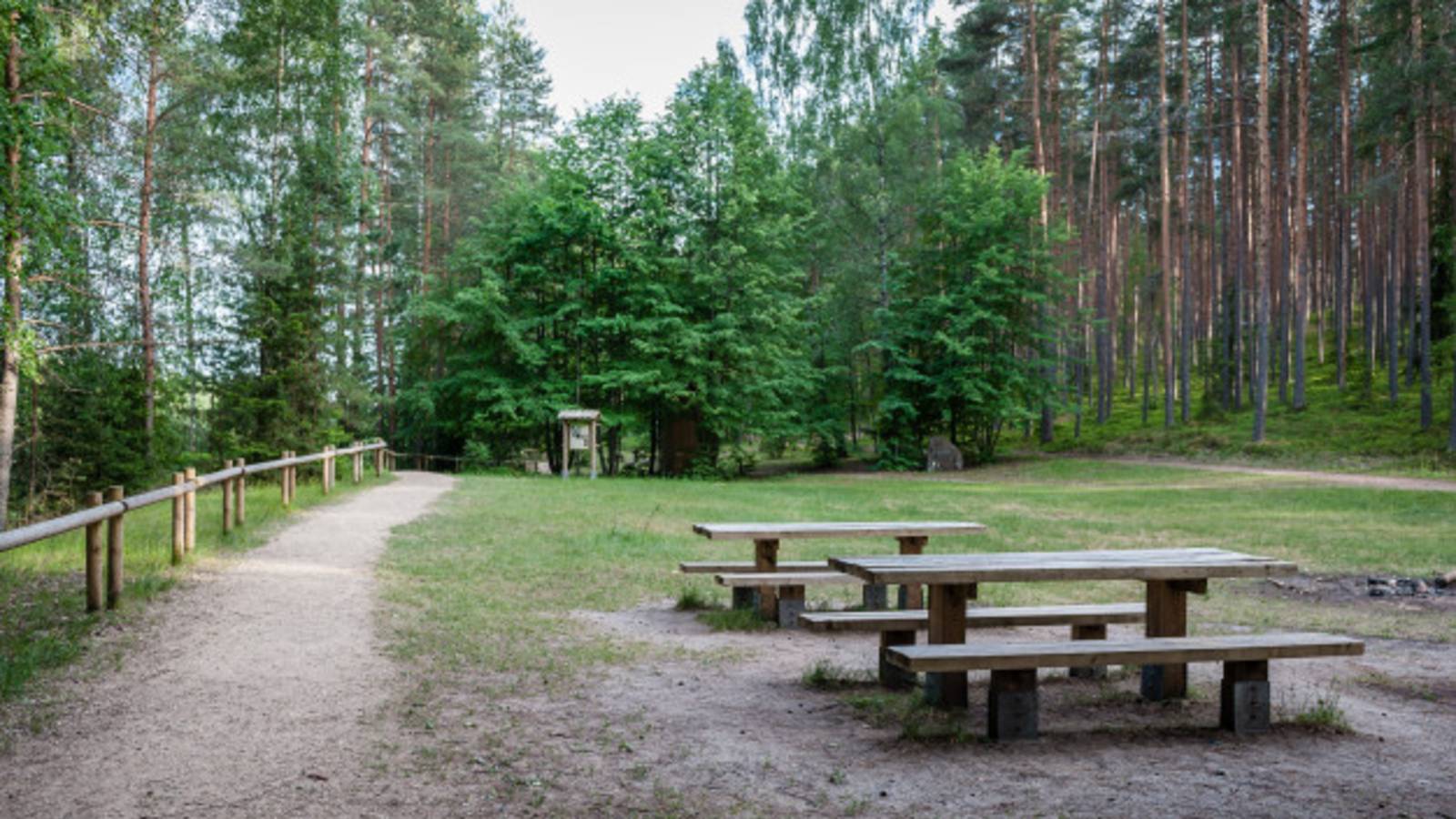 campsite and picnic area in national park