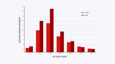 Graph of Facebook advertising audience breakdown