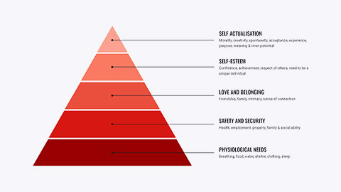 Maslow's hierarchy of needs