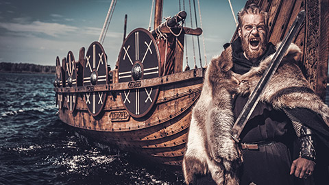 Viking warrior