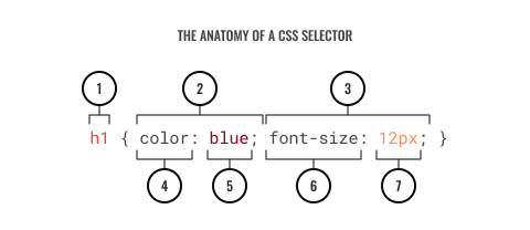 A diagram depicting the anatomy of a CSS selector