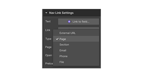 Nav link settings