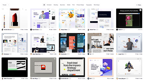 Portfolio examples from dribbble.com