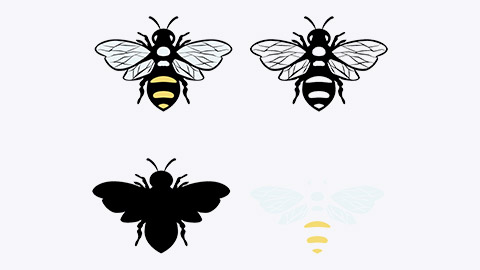 Illustration variations of a bee