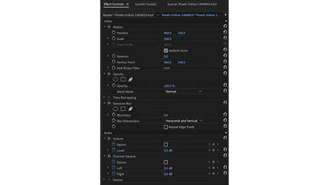 Effect controls panel